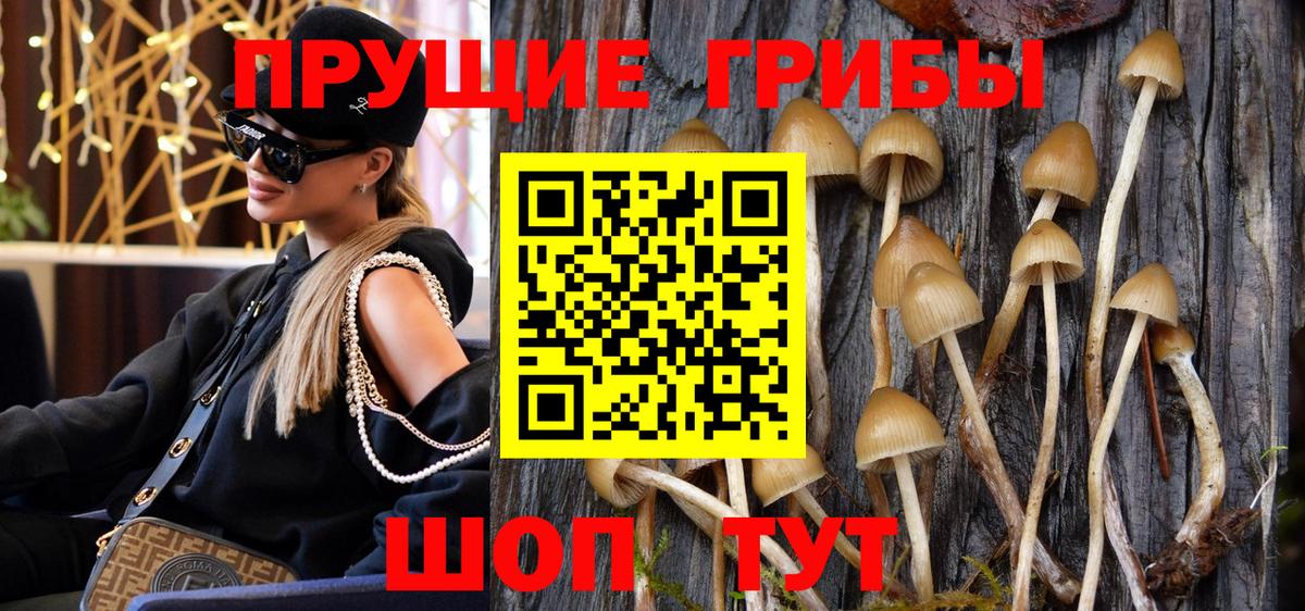 Псилоцибиновые грибы мицелий  Вход с VPN  Белая Калитва 